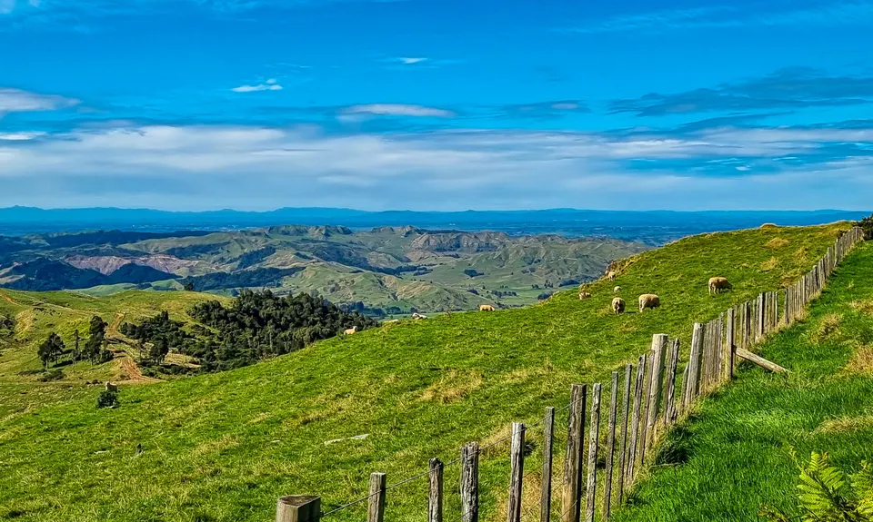 Pipiwharauroa Trail, Waikato