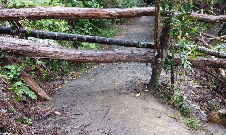 Eskdale Outer Loopypop, Auckland