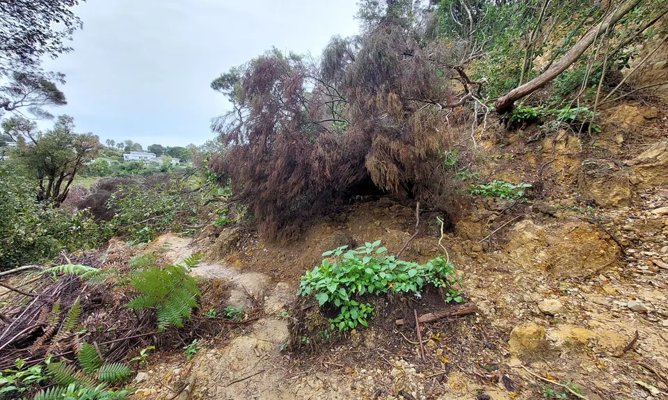 Eskdale Outer Loopypop, Auckland