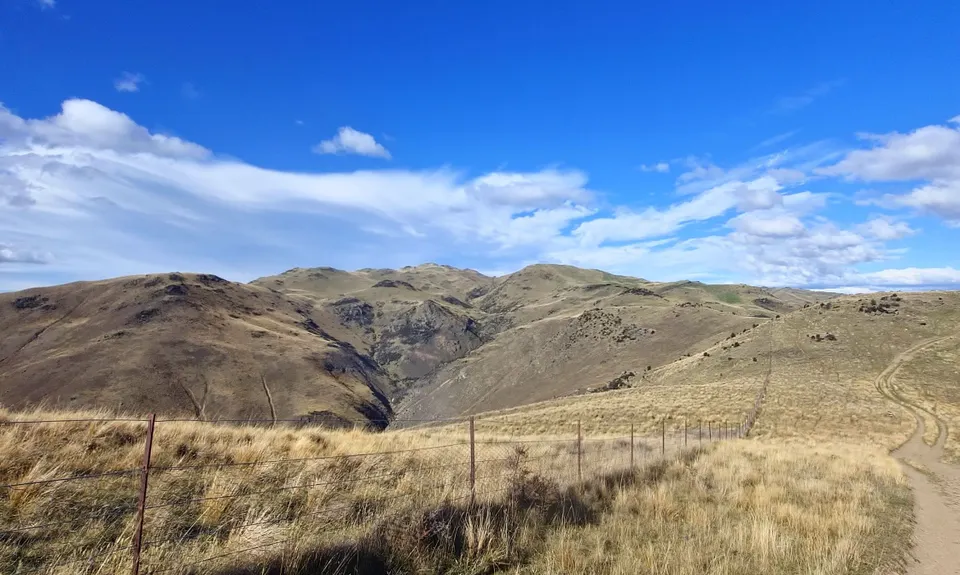 Cairnmuir Hill, Otago
