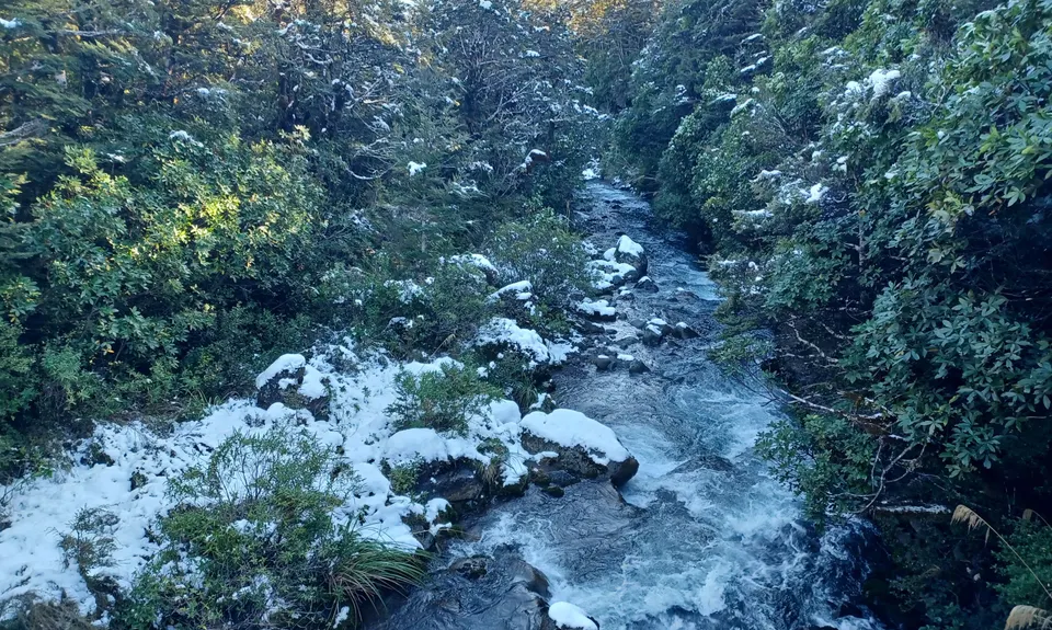 Silica Rapids trail, Manawatu - Wanganui