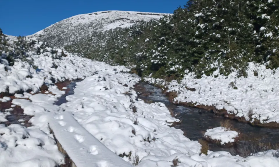 Silica Rapids trail, Manawatu - Wanganui