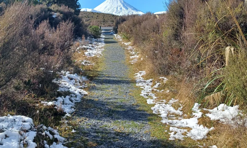 Whakapapanui Track, Manawatu - Wanganui