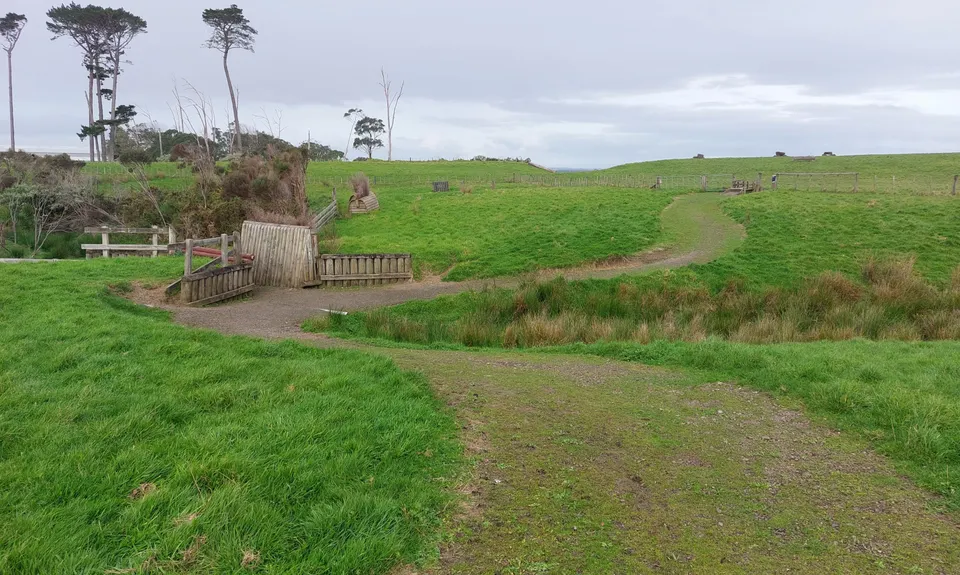 Puhinui - not just for Horses, Auckland