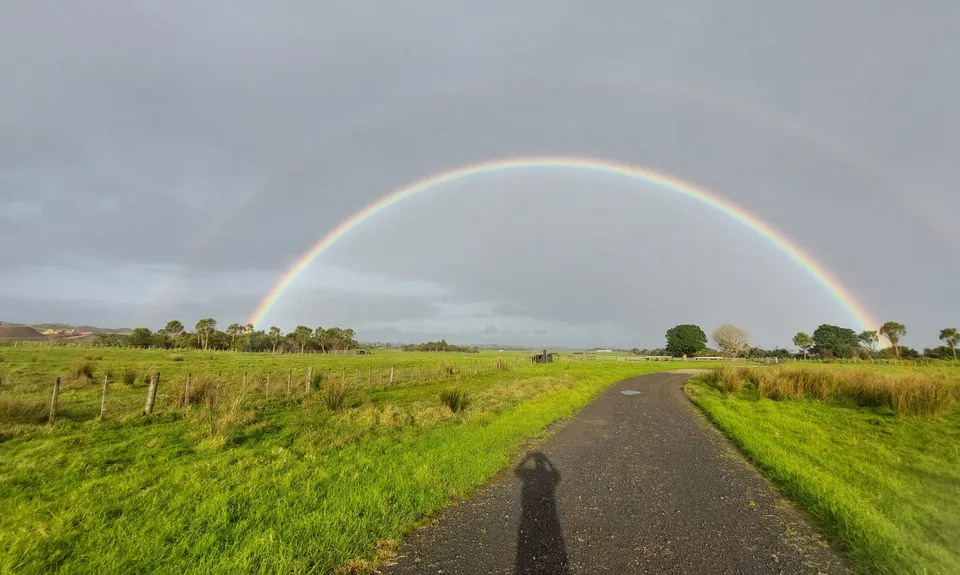 Puhinui - not just for Horses, Auckland