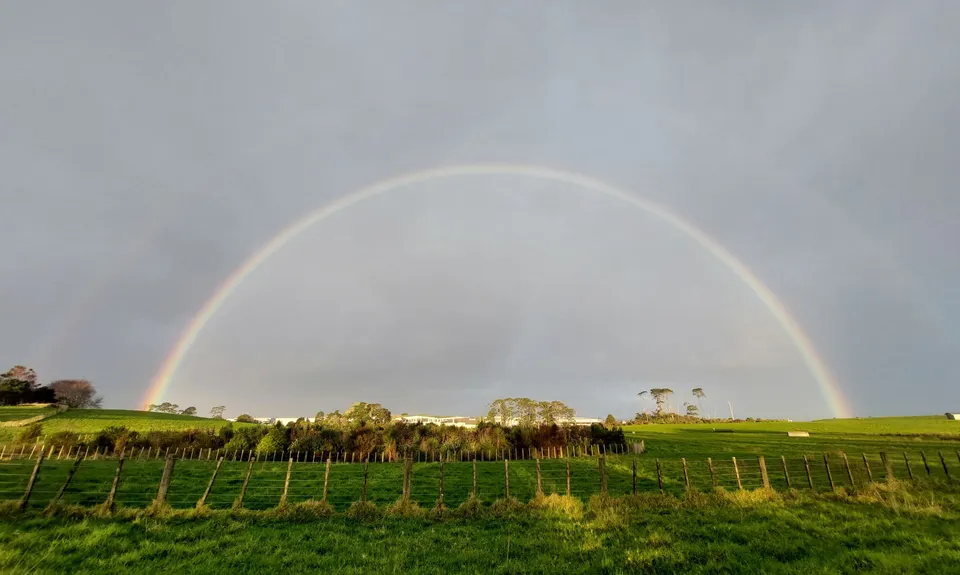 Puhinui - not just for Horses, Auckland