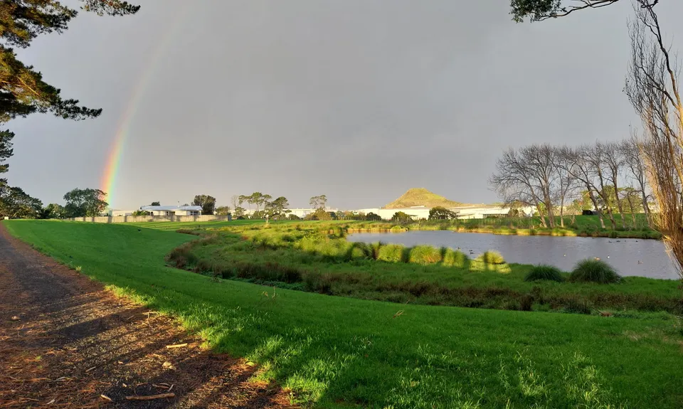 Puhinui - not just for Horses, Auckland