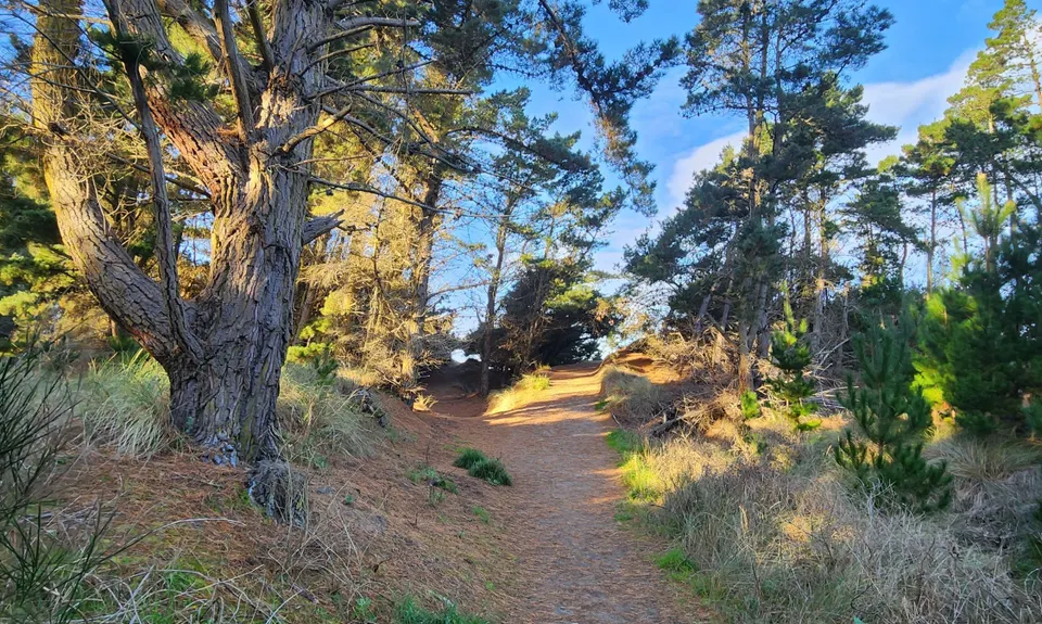 Tutaepatu Woodend Beach Circuit, Canterbury