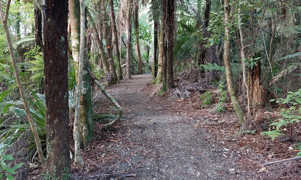 Hunua Falls - Cossey Massey Loop, Auckland