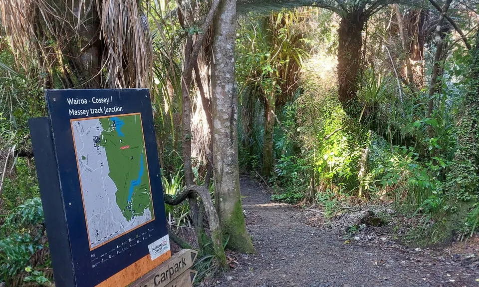 Hunua Falls - Cossey Massey Loop, Auckland