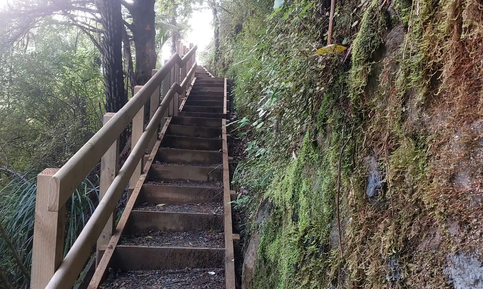 Hunua Falls - Cossey Massey Loop, Auckland