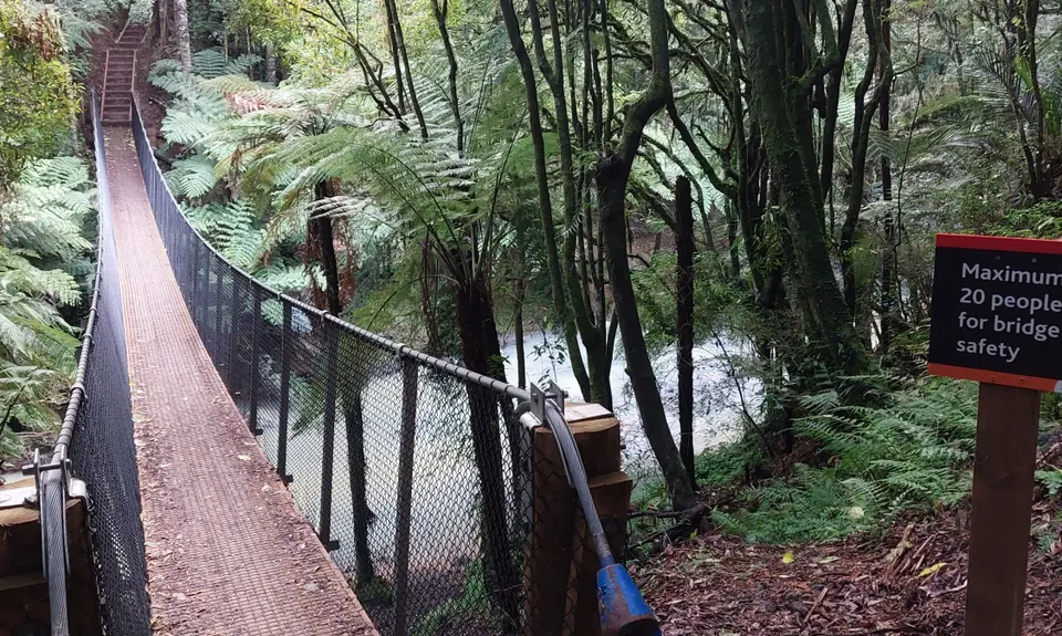 Hunua Falls - Cossey Massey Loop, Auckland
