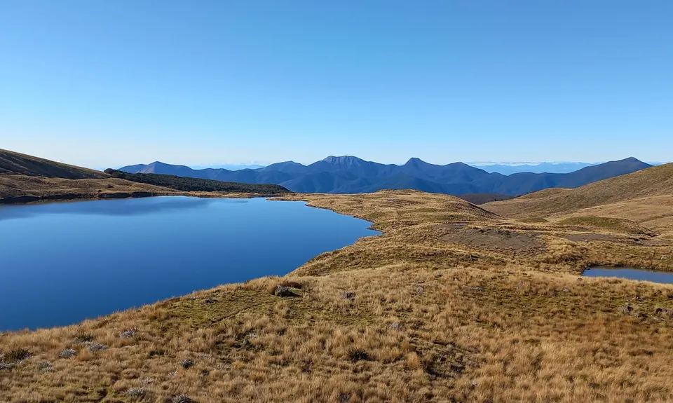 Diamond in the Rough, Tasman