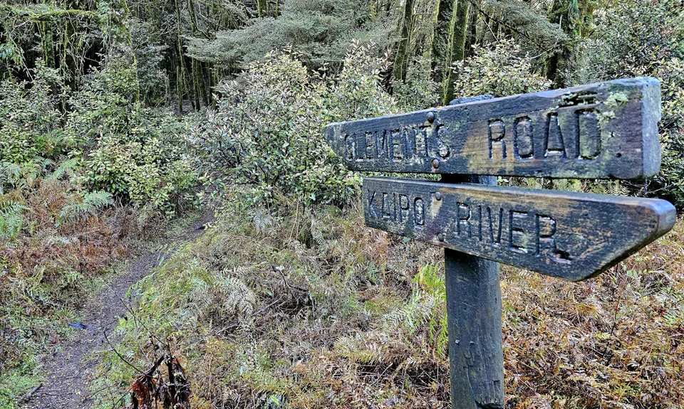 Te Iringa Track , Waikato