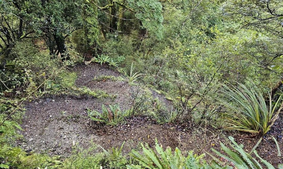 Te Iringa Track , Waikato