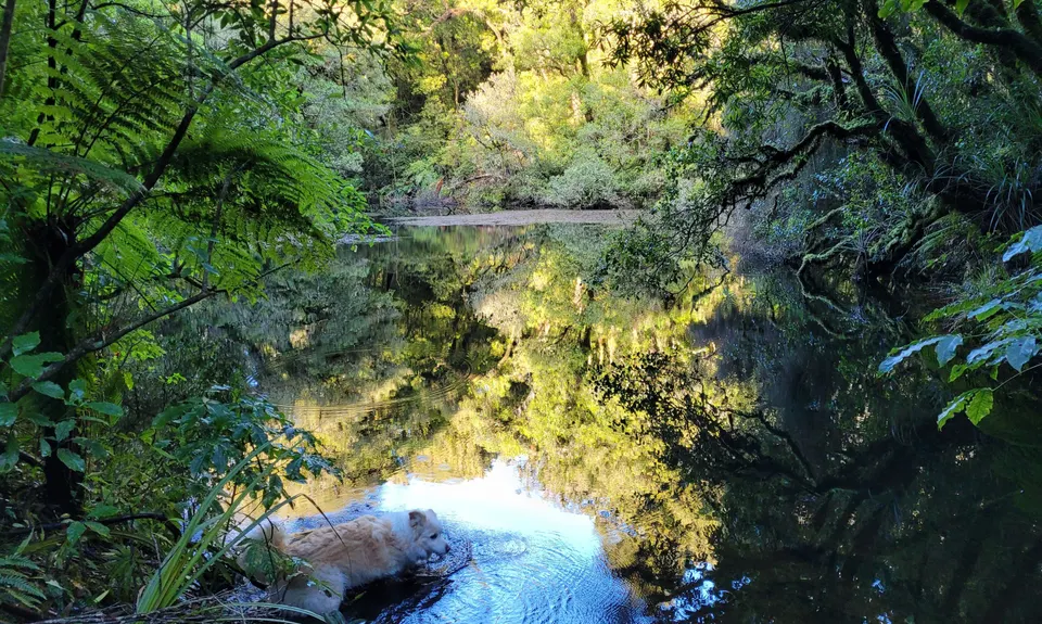 Lake Rotohokahoka , Bay of Plenty