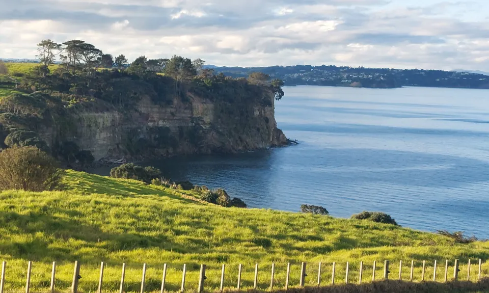 Long Bay Beach, Bush & Cliffs, Auckland