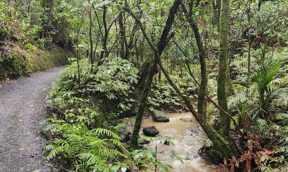 Hilly Hakarimata Loop, Waikato