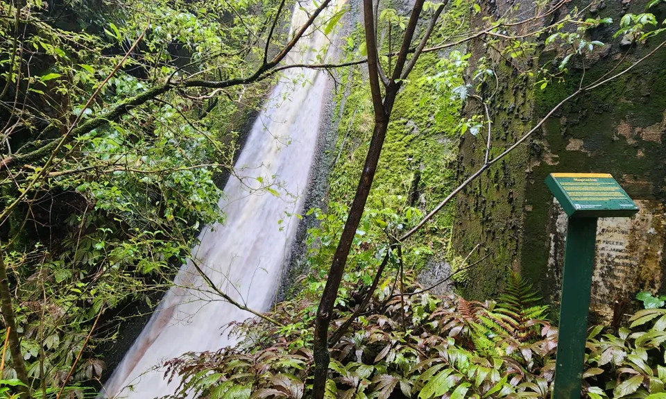 Hilly Hakarimata Loop, Waikato