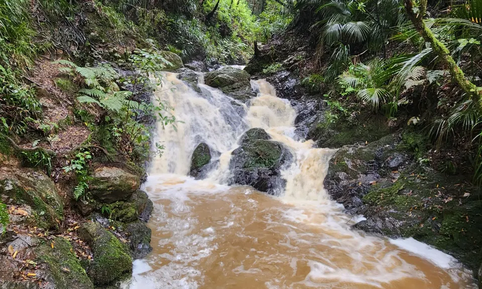 Hilly Hakarimata Loop, Waikato