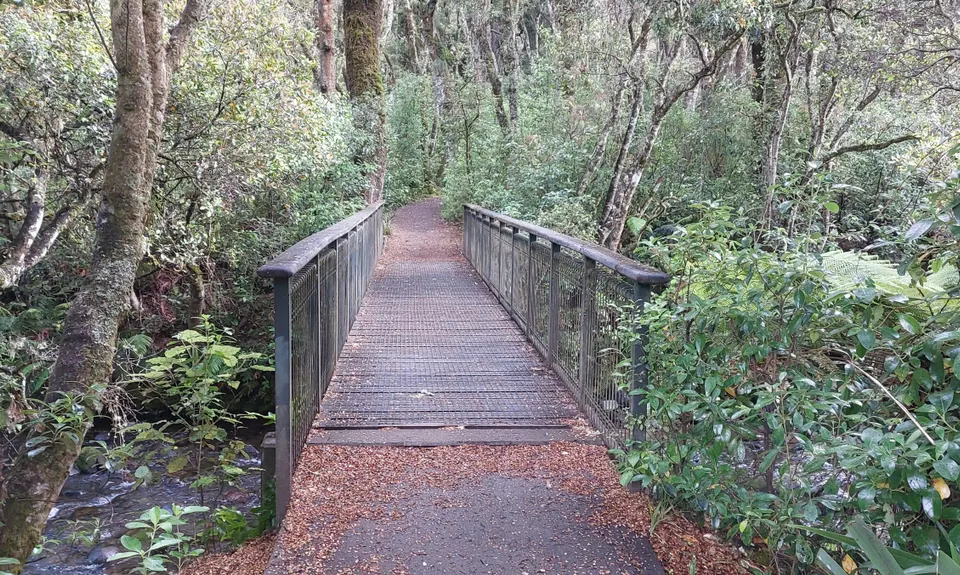 Ohakune-Horopito Powderkeg Loop, Manawatu - Wanganui