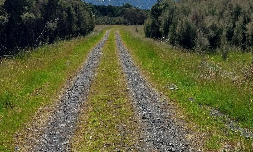 Ohakune-Horopito Powderkeg Loop, Manawatu - Wanganui
