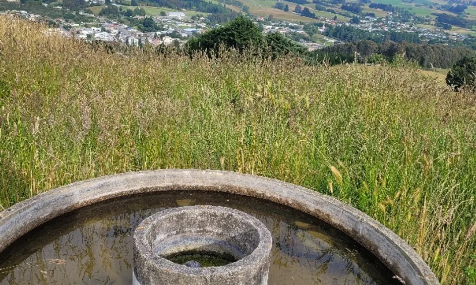 Puketapu Hill Loop, Otago