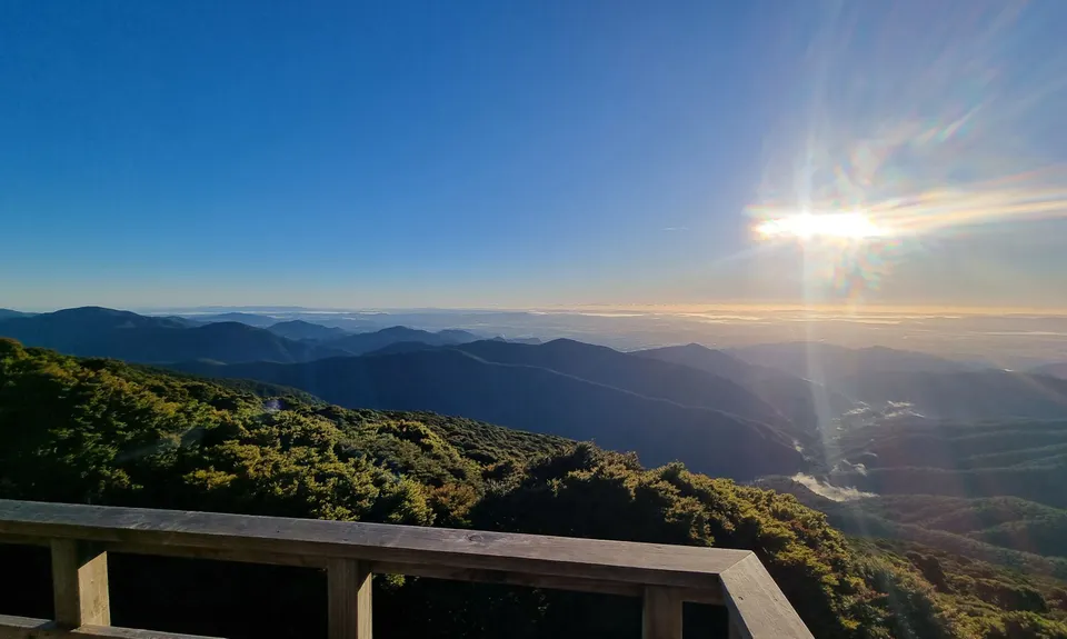 Holdsworth to Maungahuka Loop, Wellington