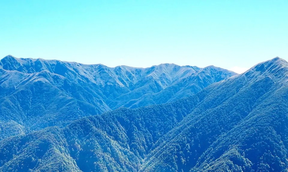 Holdsworth to Maungahuka Loop, Wellington
