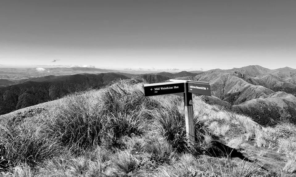 Holdsworth to Maungahuka Loop, Wellington