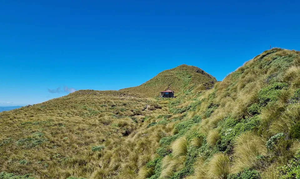 Holdsworth to Maungahuka Loop, Wellington