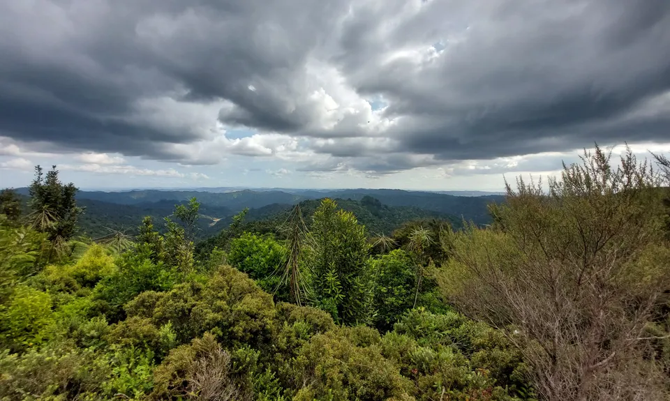Hunua Hillbilly Marathon, Auckland