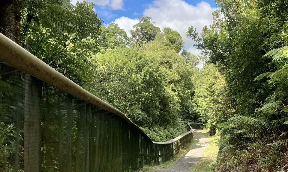 Maungatautari Sanctuary Mountain, Waikato