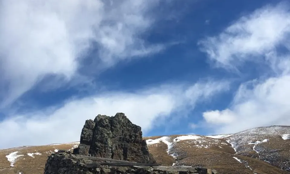 Young Australian, Otago