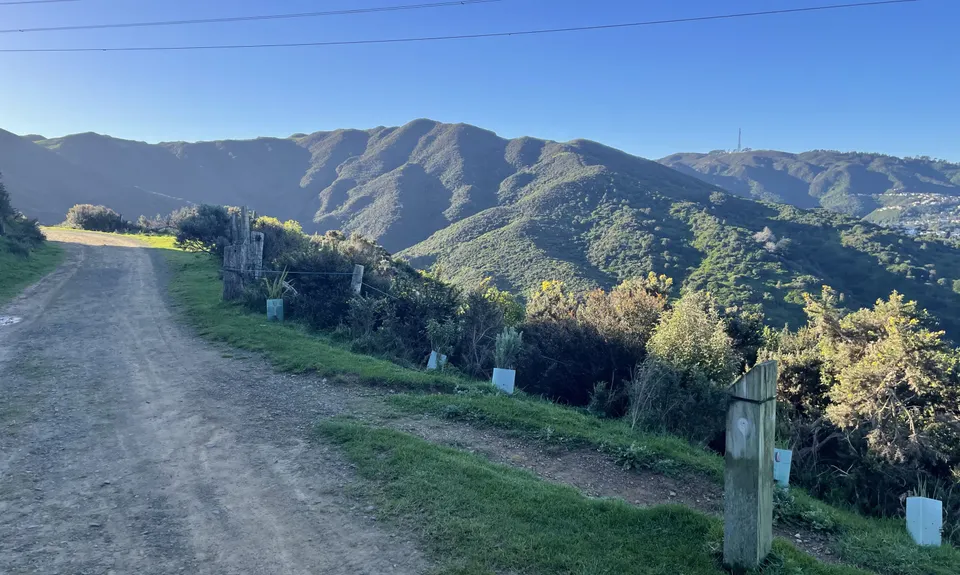 Linking the Reserves, Wellington