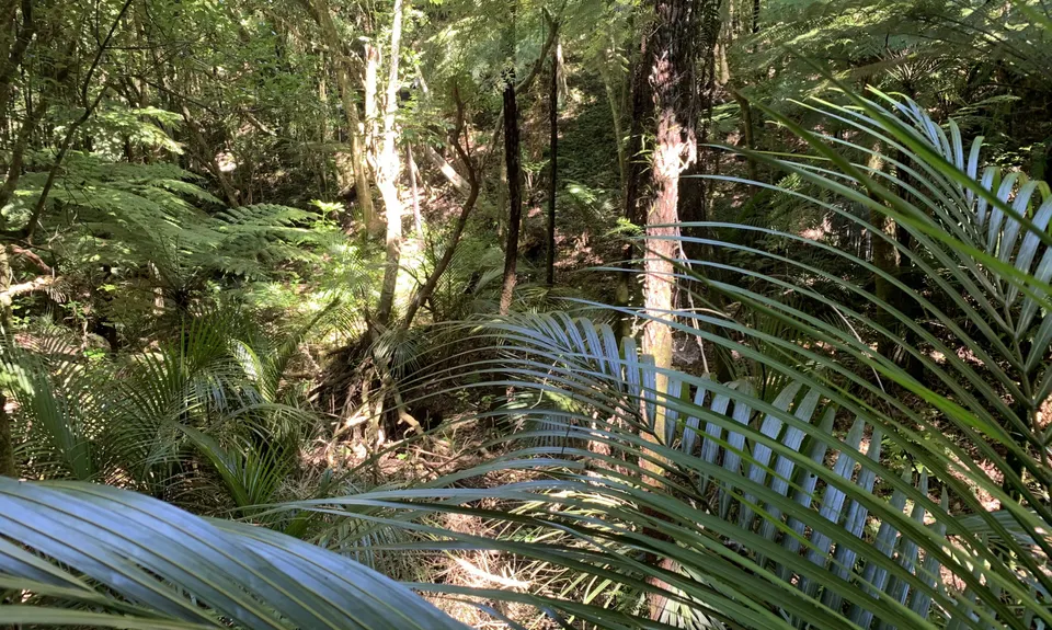 Paihia - Russell Loop, Northland