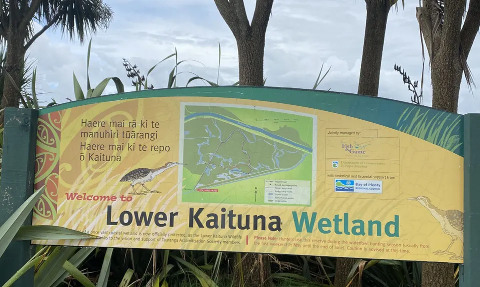 Kaituna Wetlands, Bay of Plenty