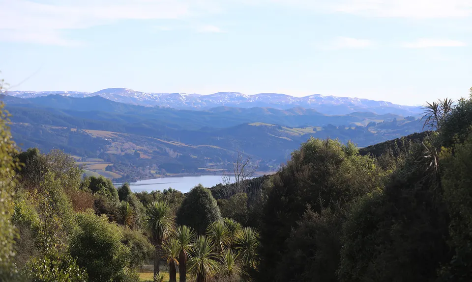 Orokonui Heaven, Otago