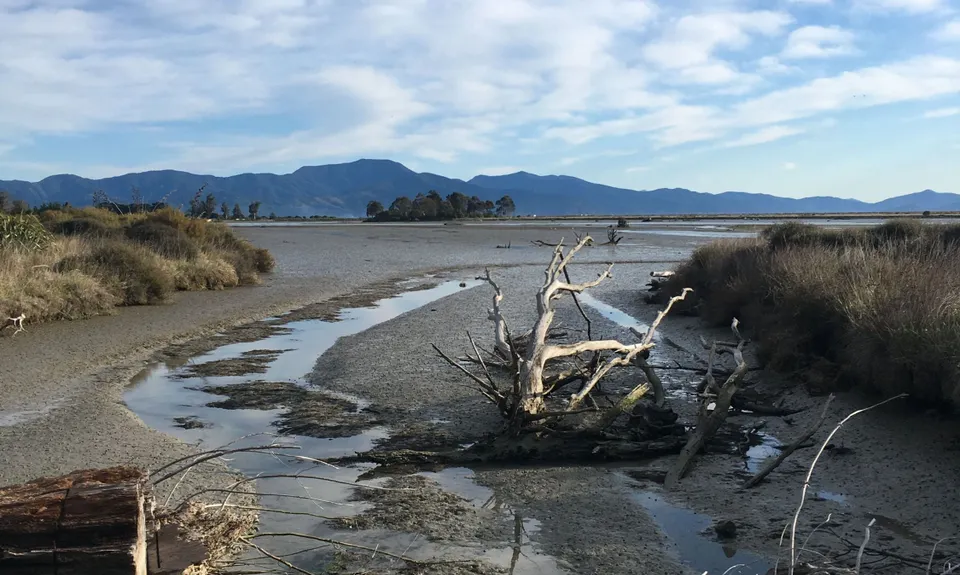 Wairau Lagoons Loop v2, Marlborough