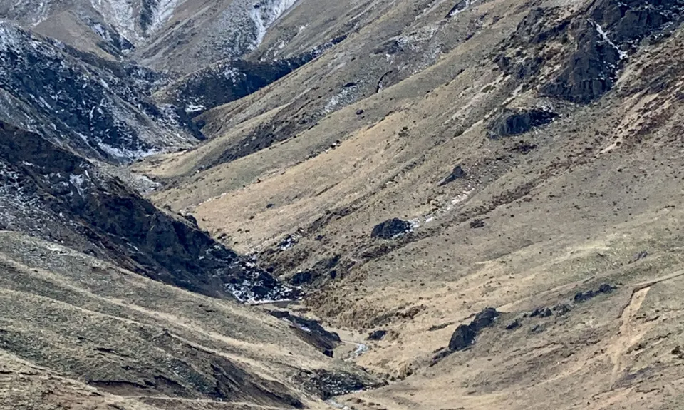 Mt Somers Woolshed Loop, Canterbury
