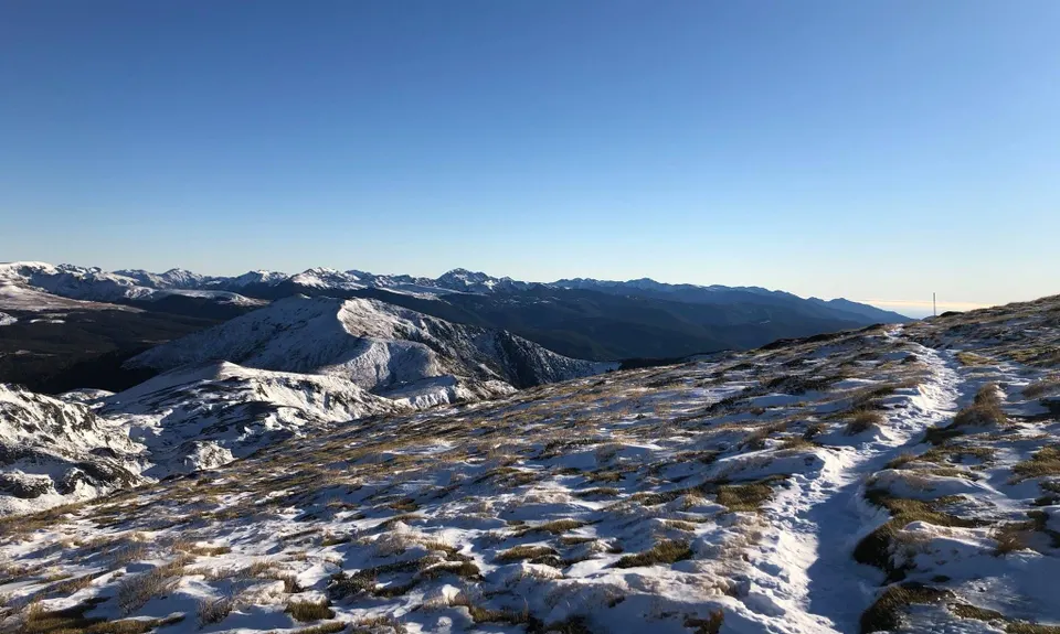Mt Arthur Up & Back, Tasman