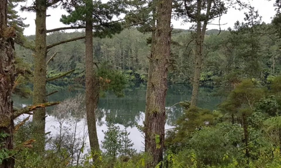 Maraetai & Mangakino , Waikato