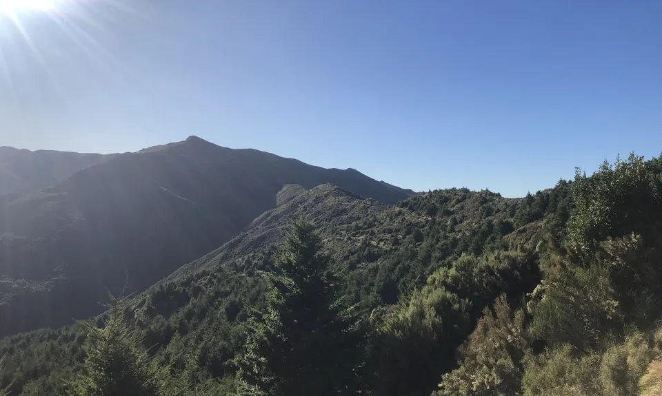 Whare Flat to Pulpit Rock , Otago
