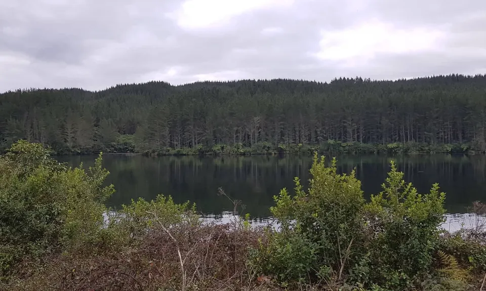 Maraetai & Mangakino , Waikato