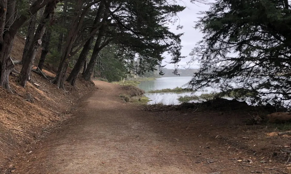 Whitford Coastal Trail Loop , Auckland