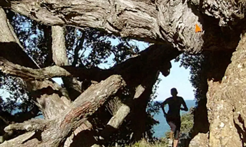 Waihi Beach to Ngatitangata Road - the Nugget run, Bay of Plenty