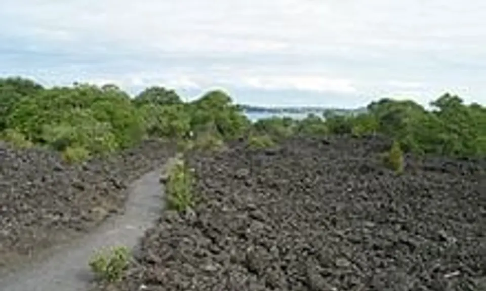 Rangitoto - Motutapu Double , Auckland