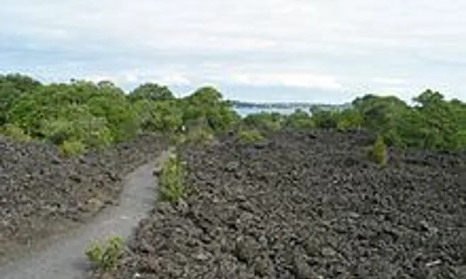 Western Rangitoto, Auckland