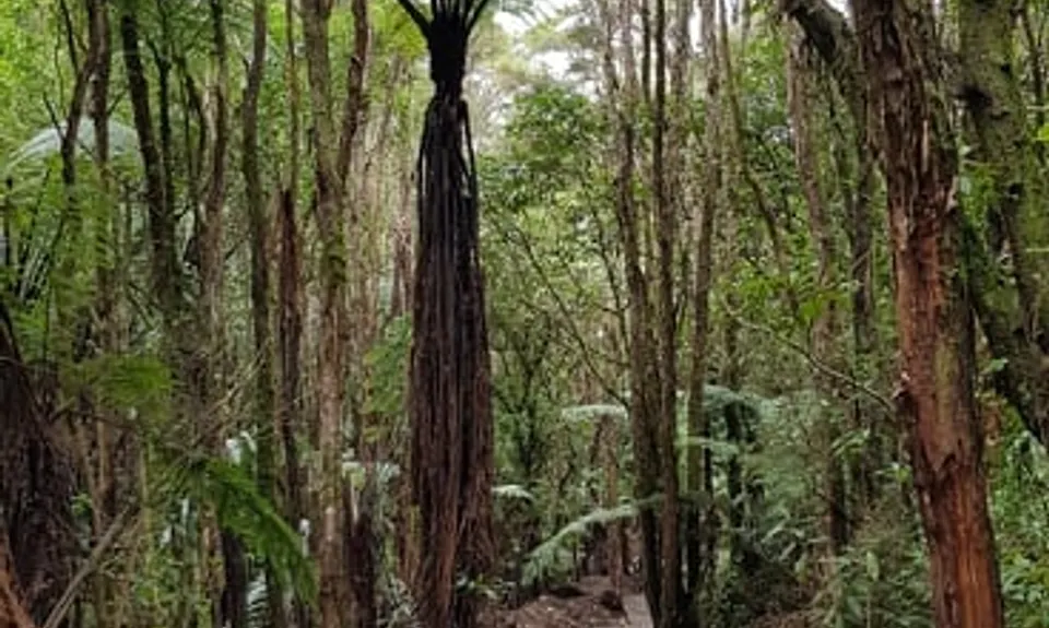 Maraetai & Mangakino , Waikato