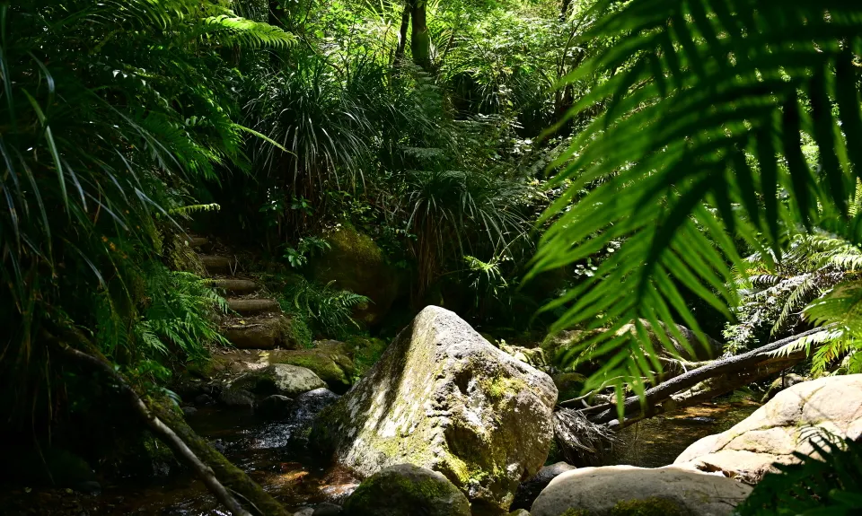 Trail Challenge Waihi official marathon, Waikato